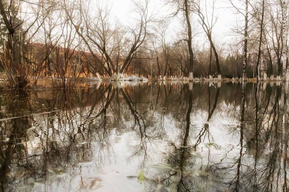 Весенние краски в отражении воды.