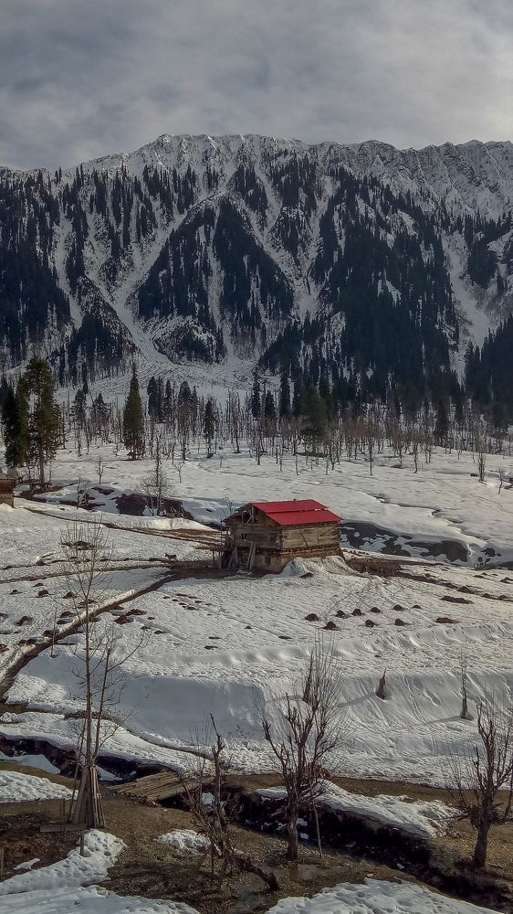 Arang Kel