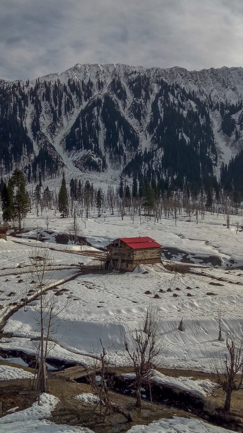 Arang Kel