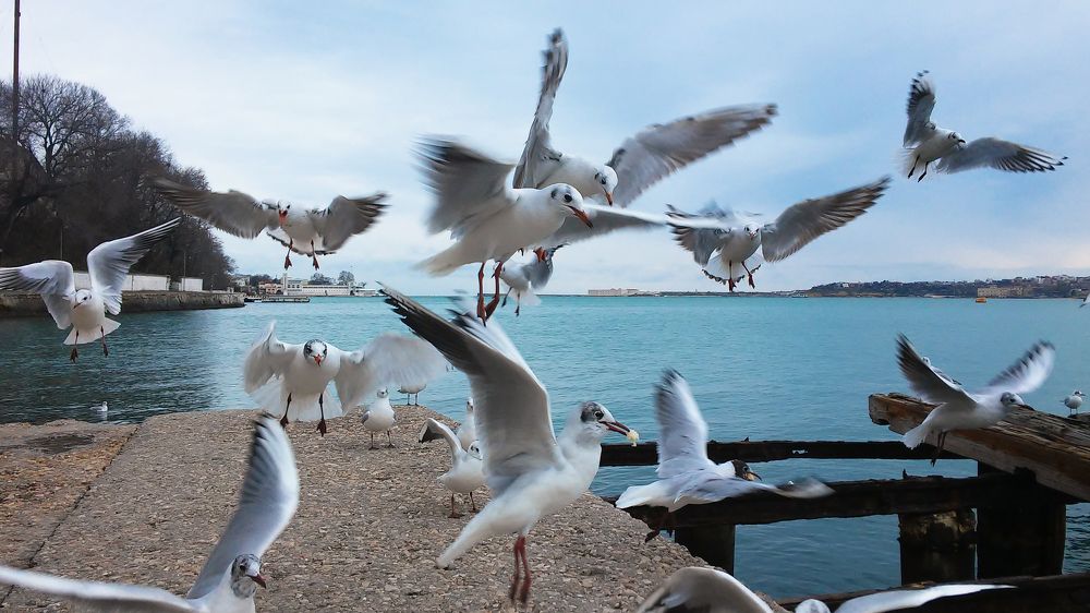 Званный ужин