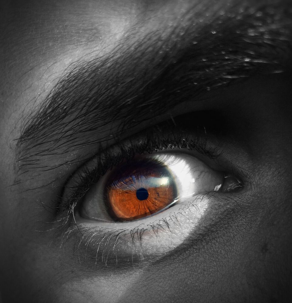My Eye
