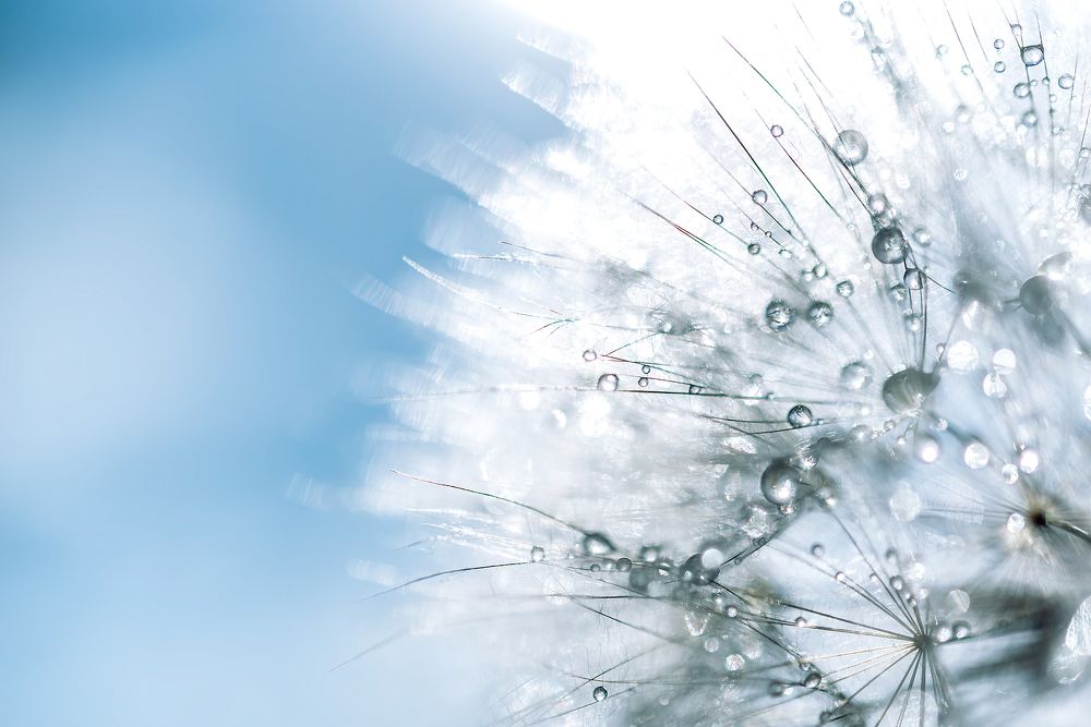 Photograph by Yuliia