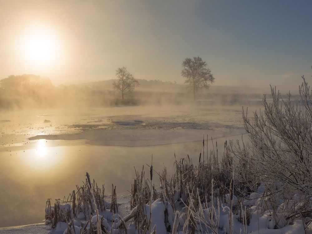 Морозное утро