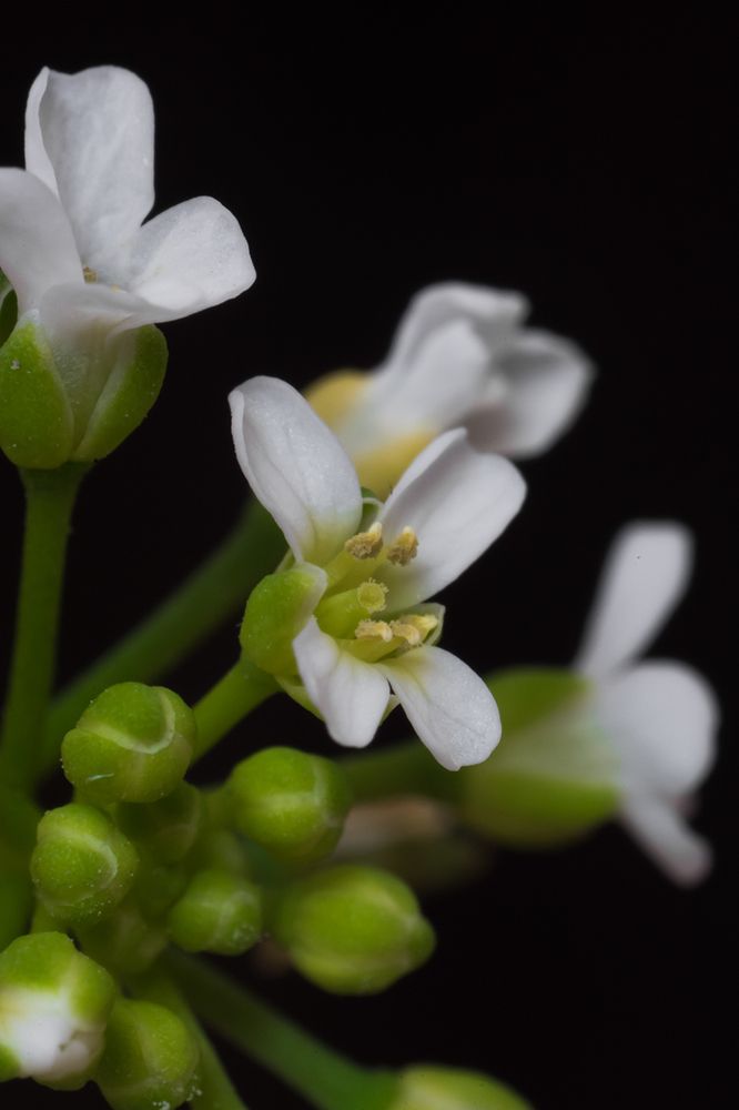 Photograph by Тофиг Рашидов