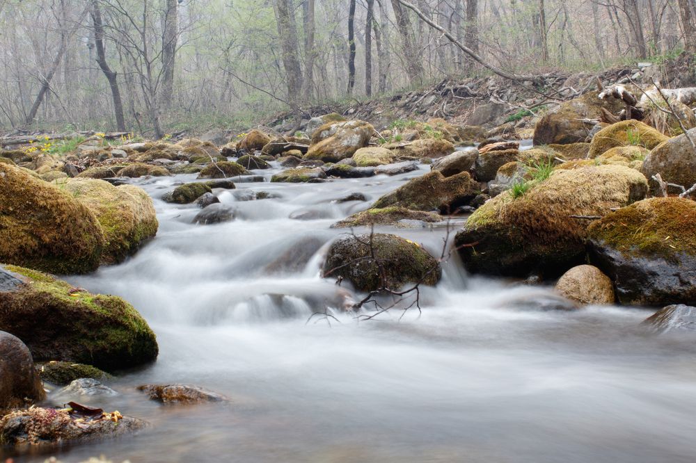 Волшебный ручей