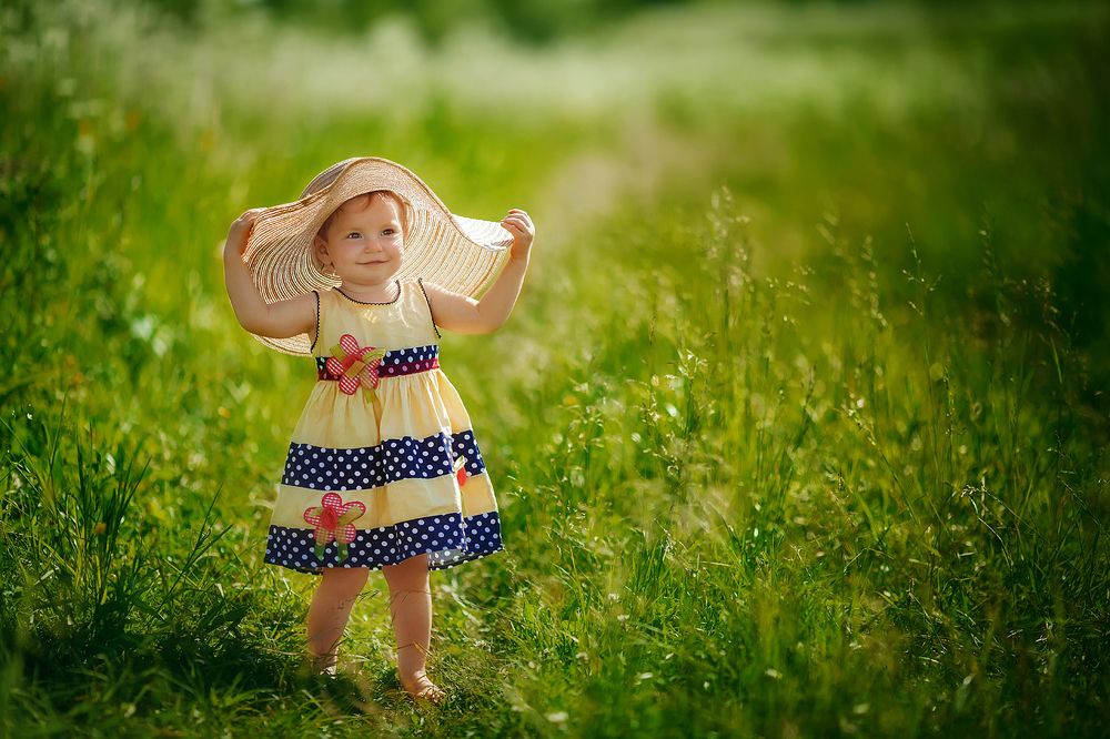 Поля в поле