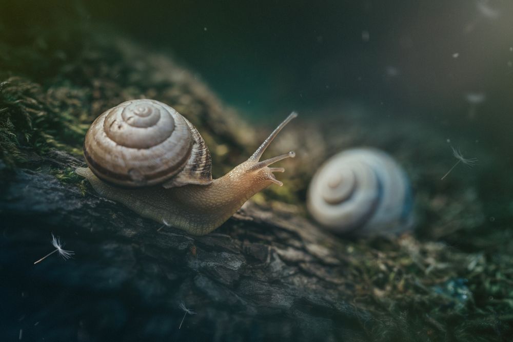 Good morning neighbors..