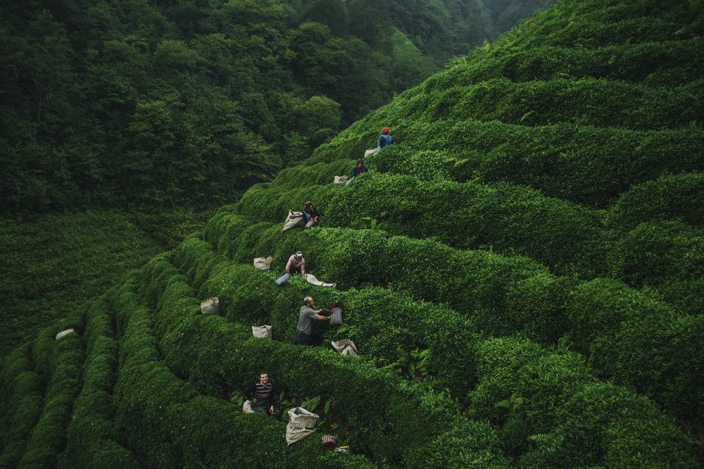 Фотография автора Mirkan Tunc