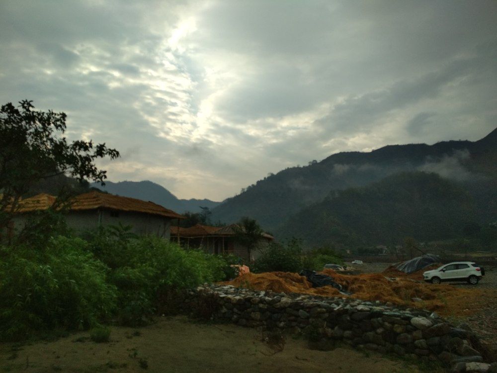 Lost in Nature's Beauty