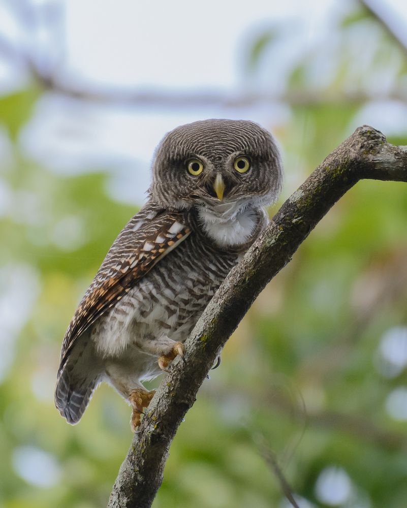 What about this pose?