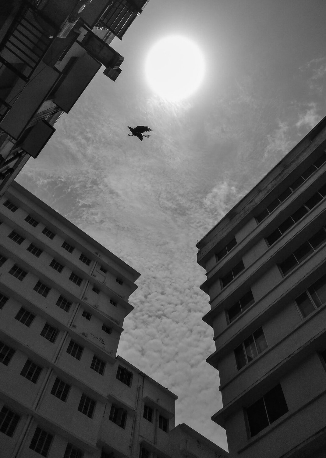 Flight to sun.