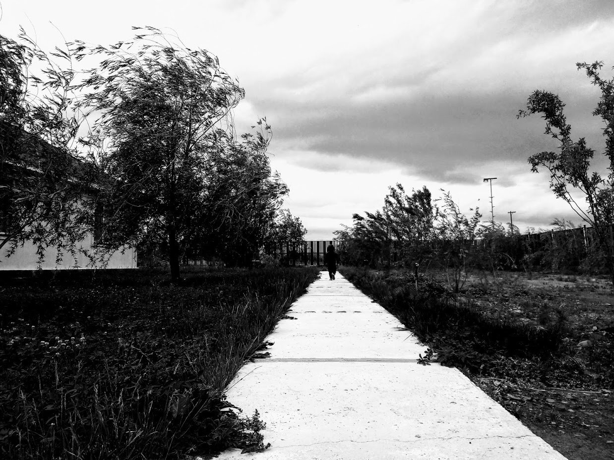 Photo #2364316