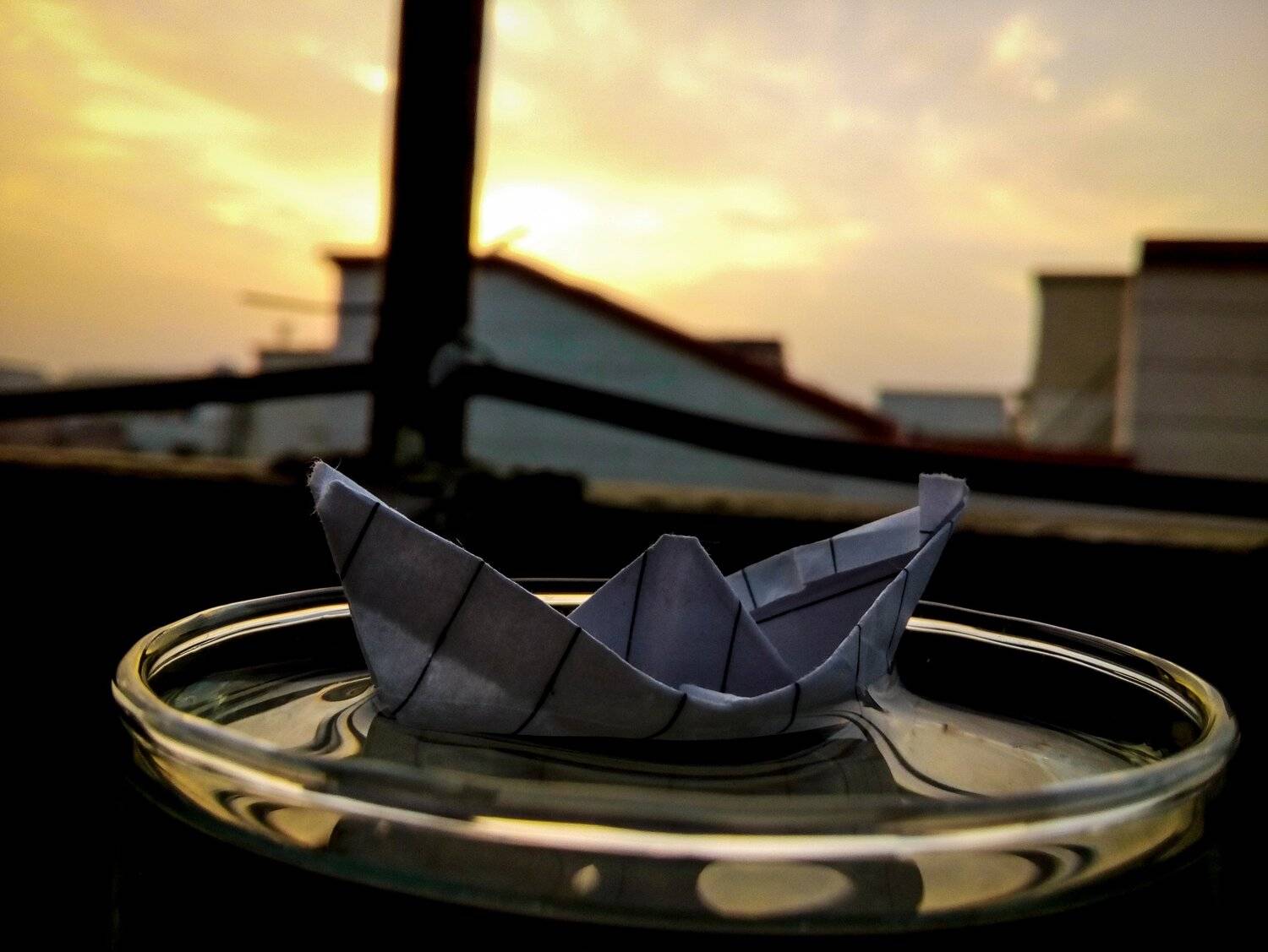 Little sailboat
