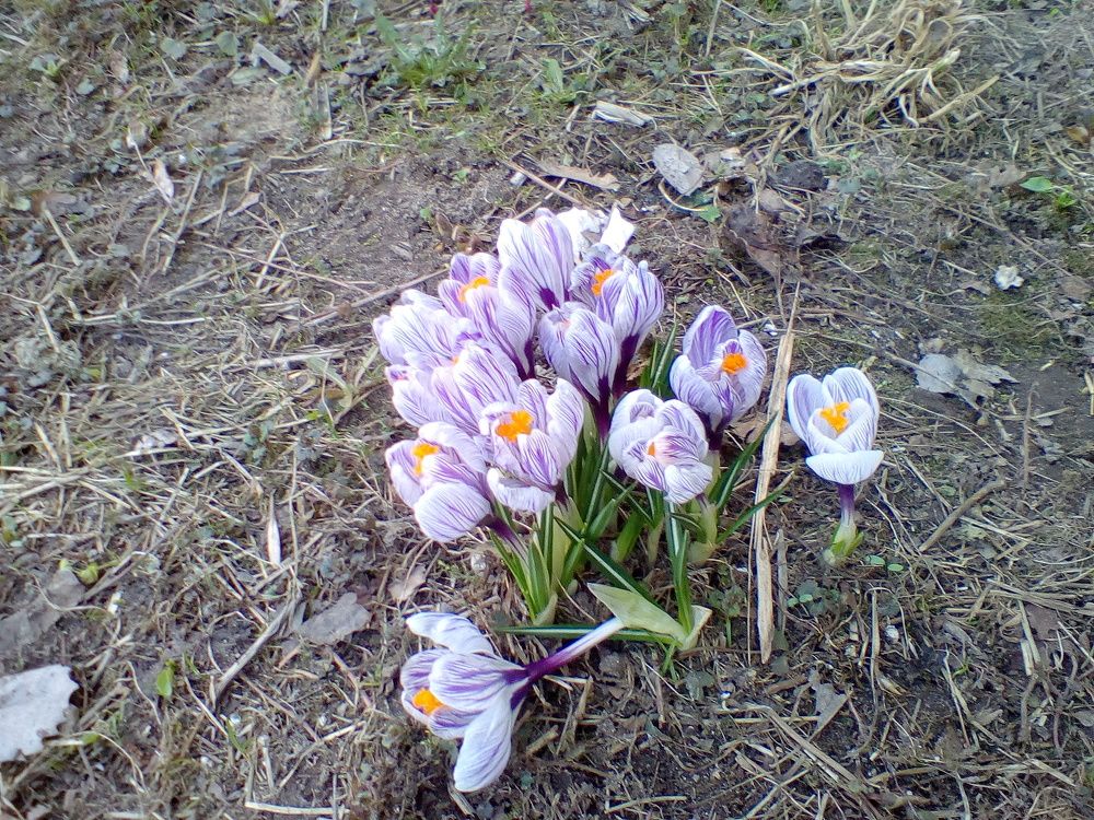 Photograph by Анна