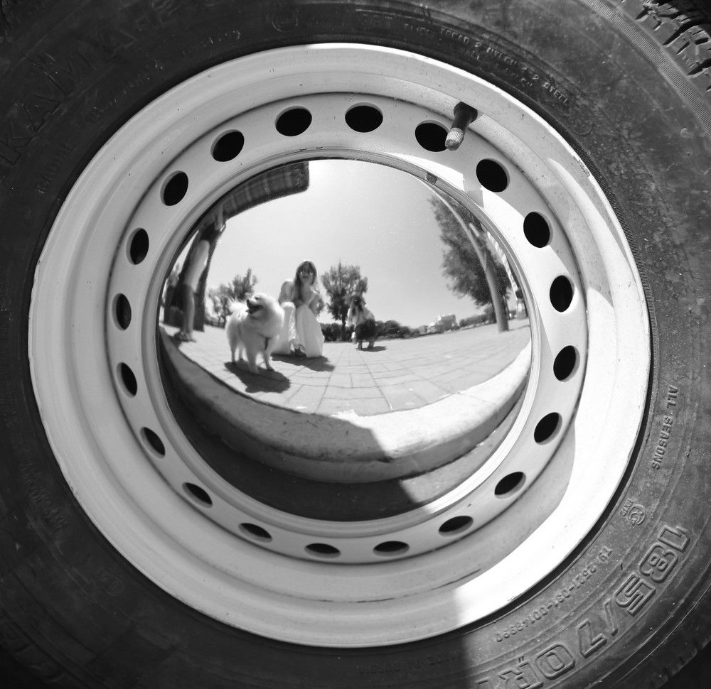 the lady with the dog