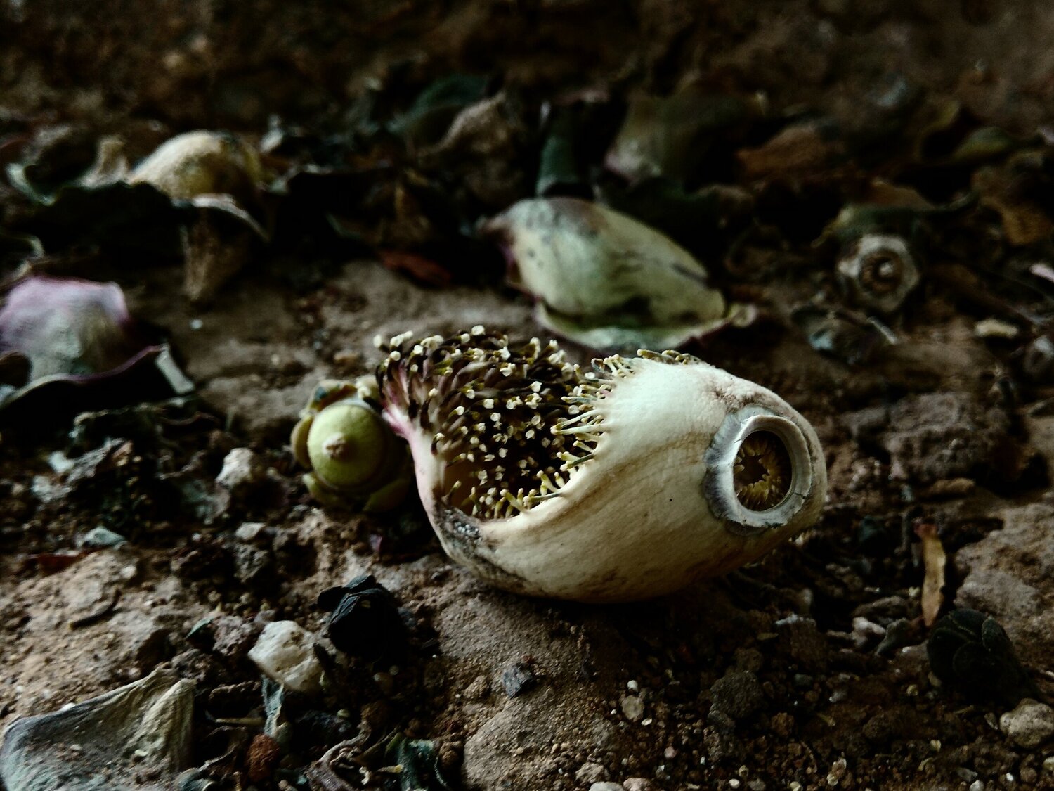spirit and stone 2