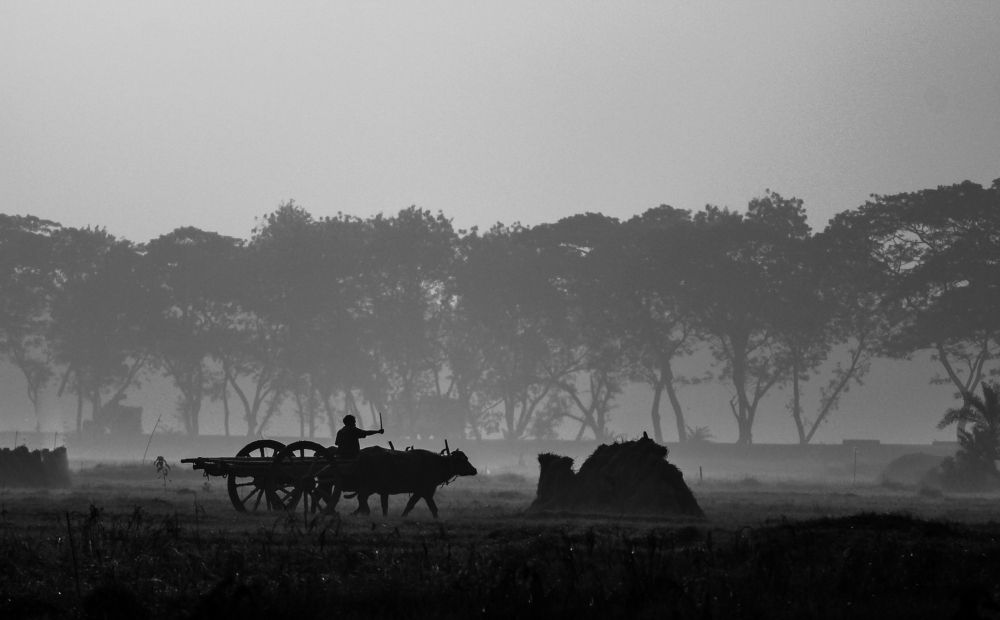 BEAUTY OF A VILLAGE MORNING
