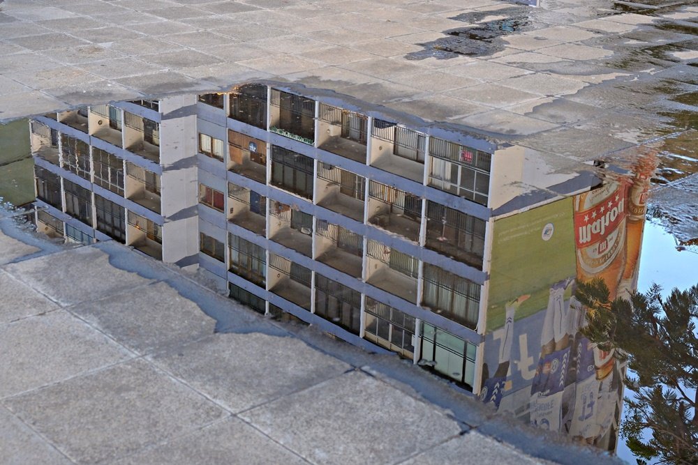 Reflection in the puddle