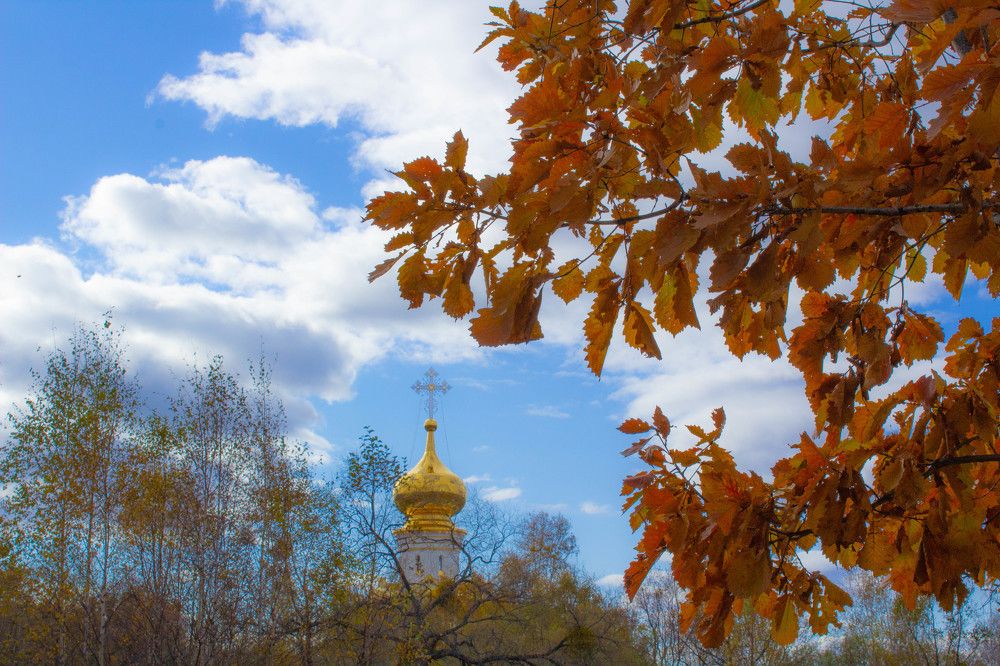 Осенний парк