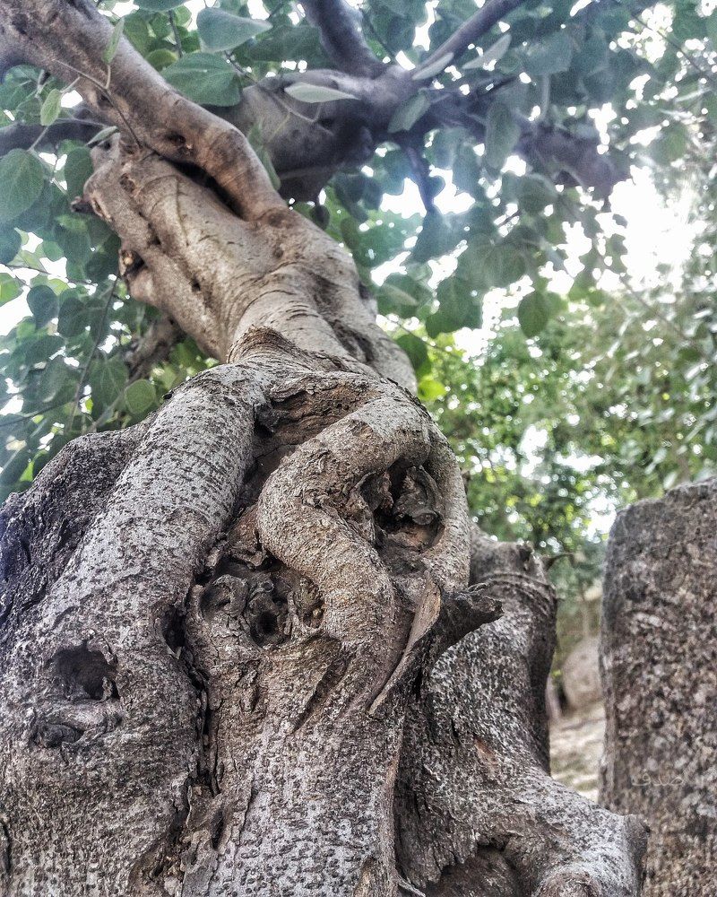 forming the form freely