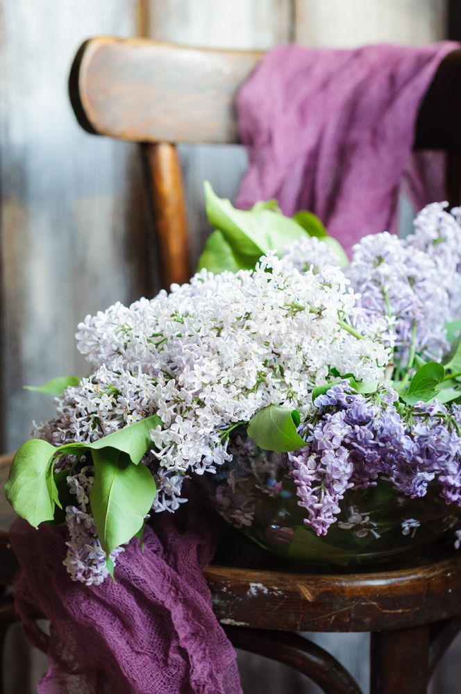 Photograph by Олеся Решетникова