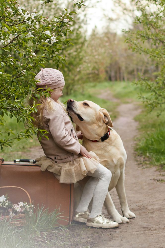 Привет, друг!