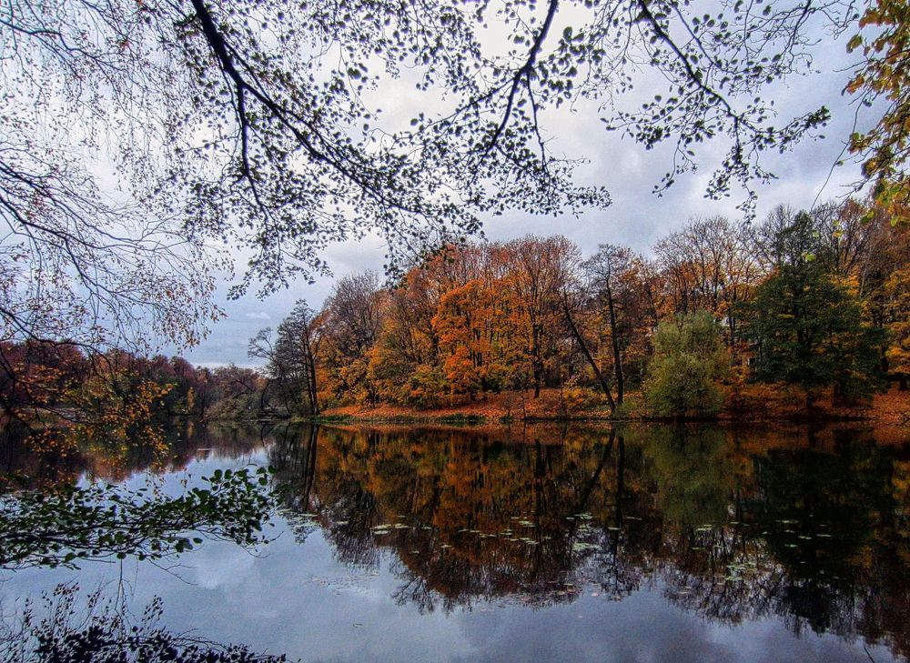 Краски осени.