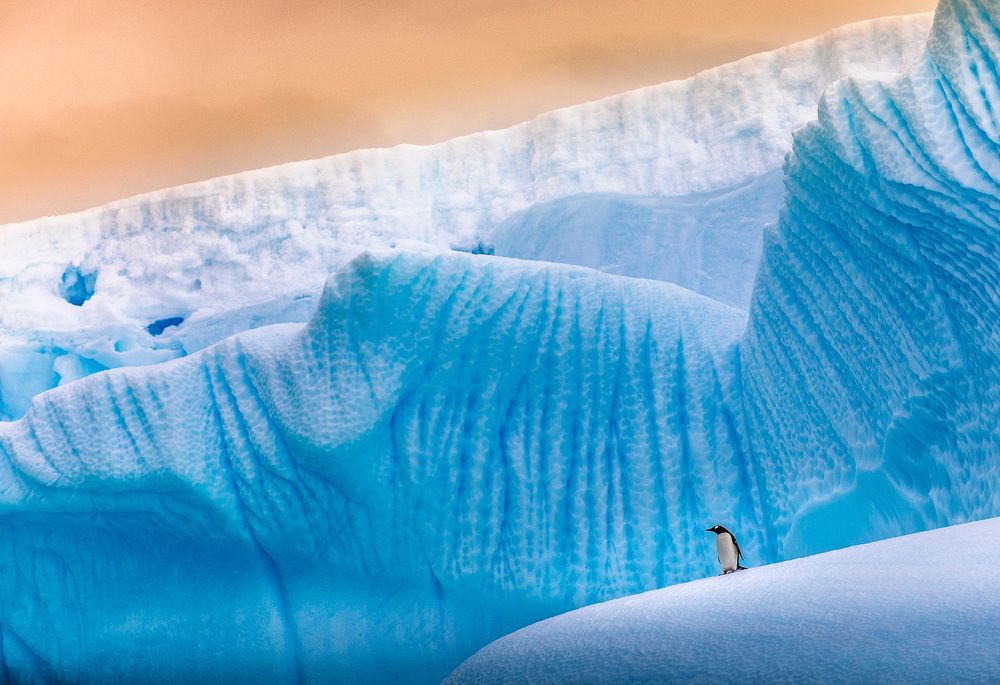 Один на льдине...