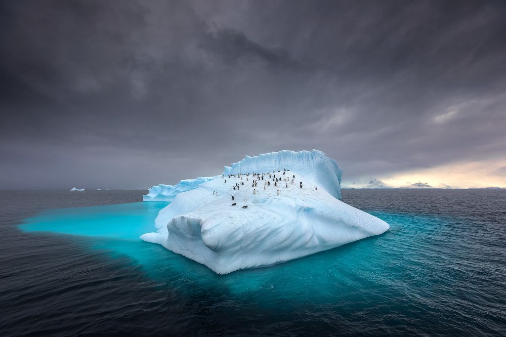 Дрейфующий айсберг...