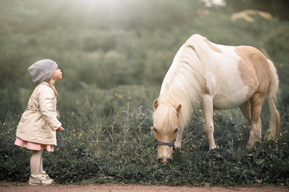 Девочка и пони