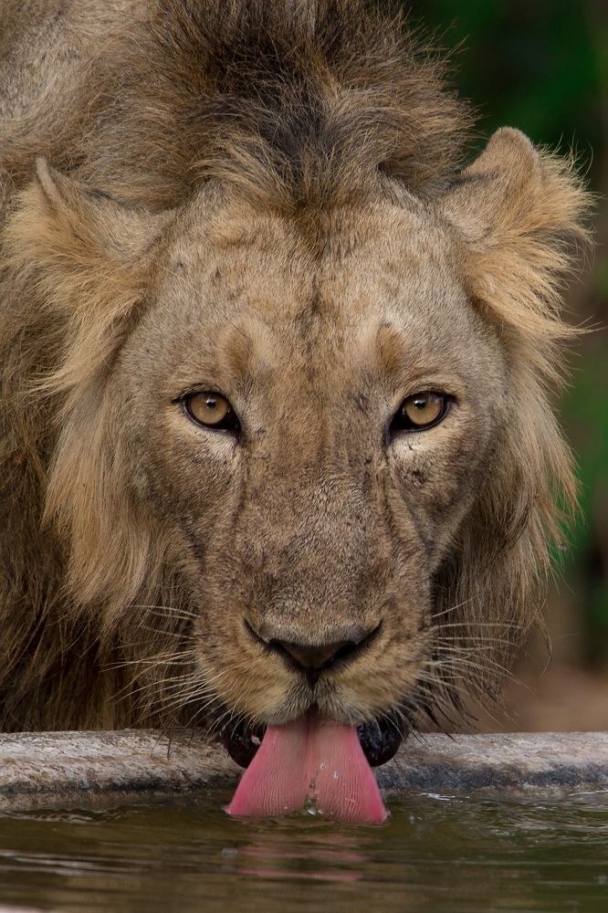 Look Into My Eyes...