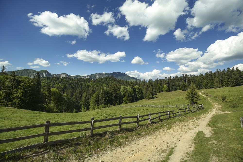 The Romanian Mountains