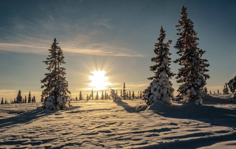 Зимние, серверные закаты