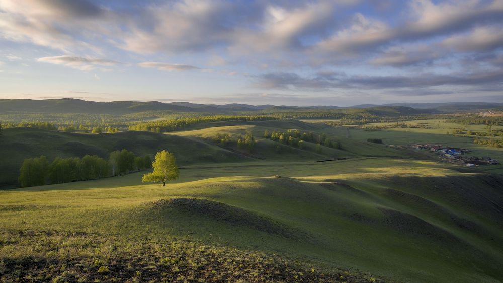 Моя Тоска.на