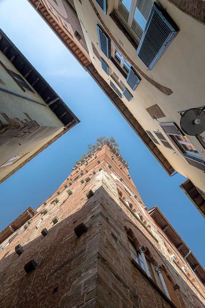 Photograph by Maria Koval