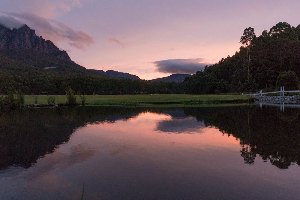 Долина вечернего цвета