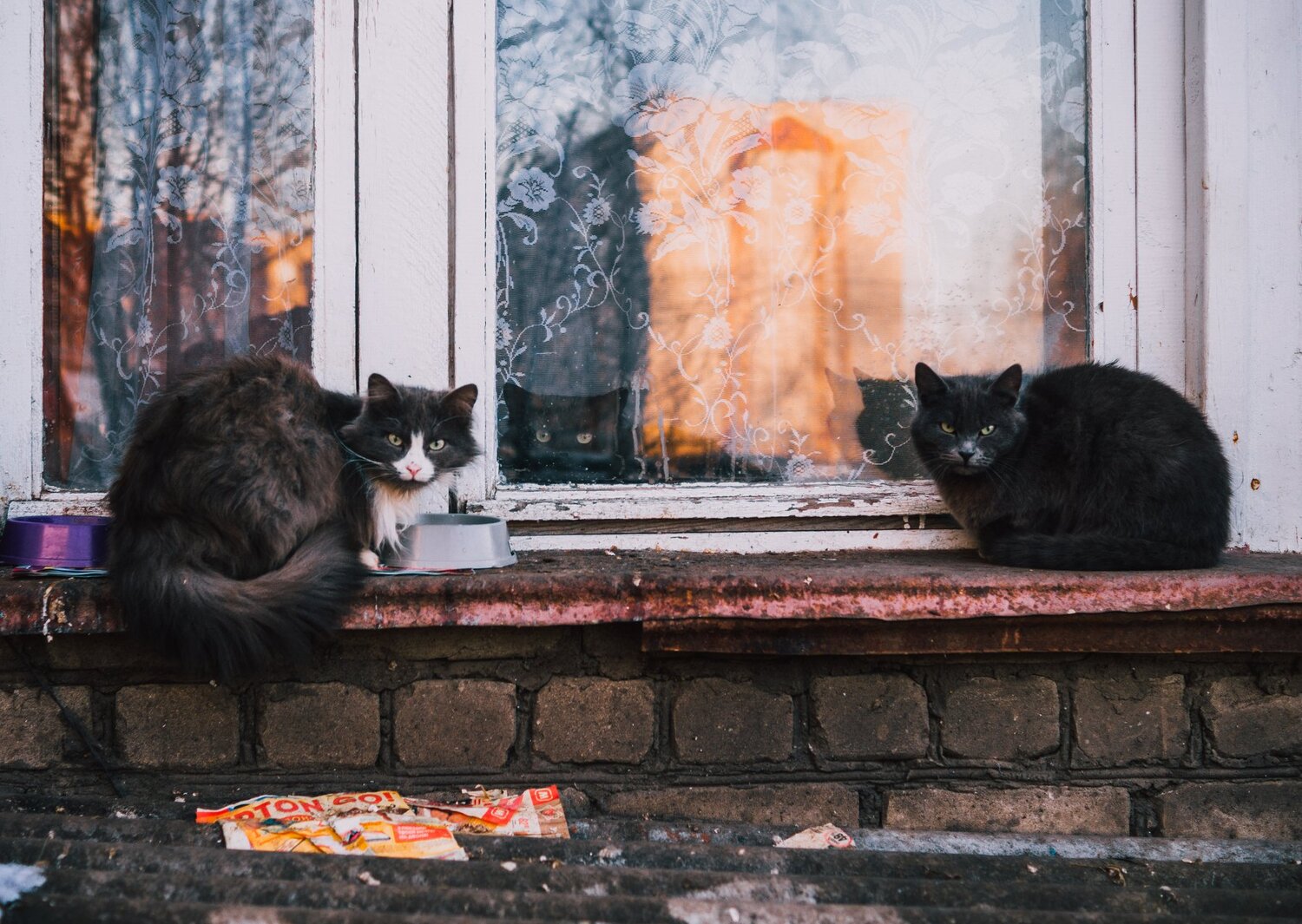 Big brothers are watching you