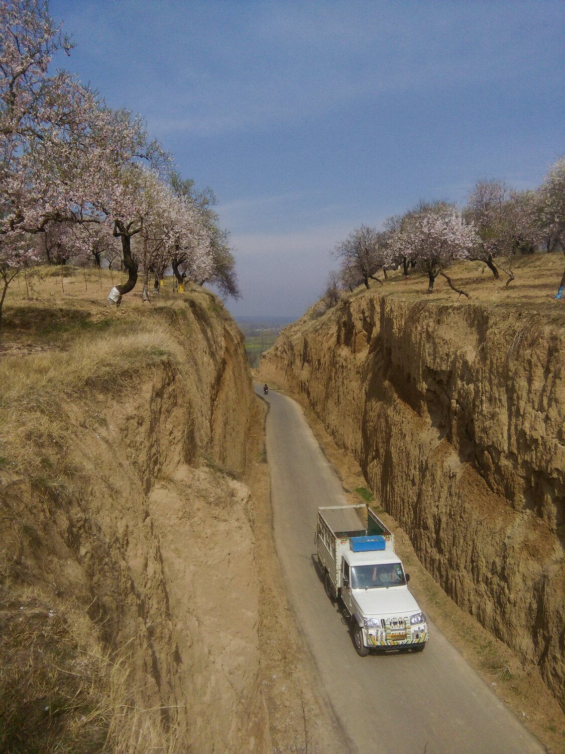Spring in Kashmir