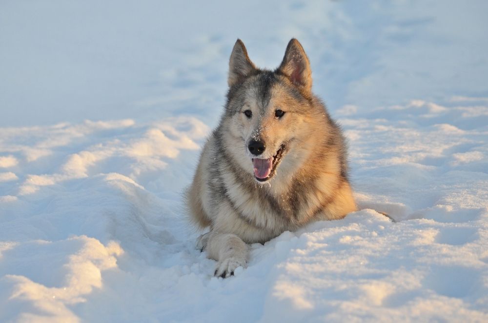 и зимой бывает жарко