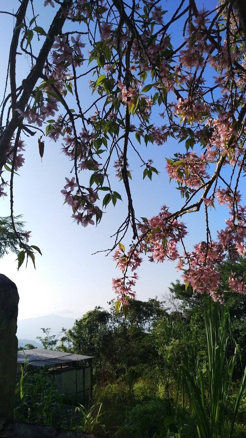 Connected with Nature