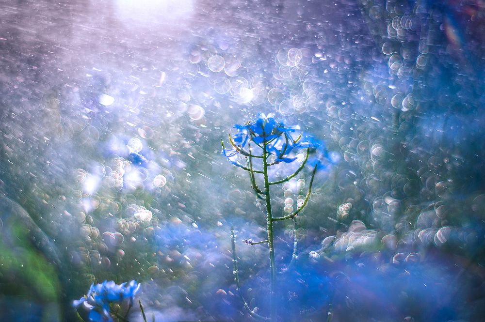 Хрустальные капли