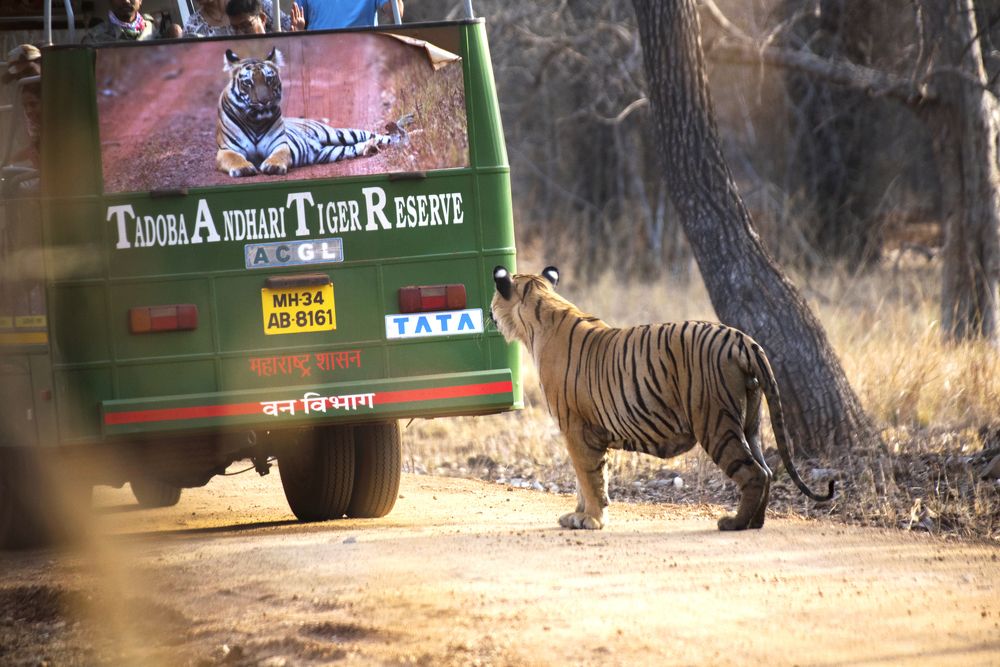 When will my pic be in that poster?