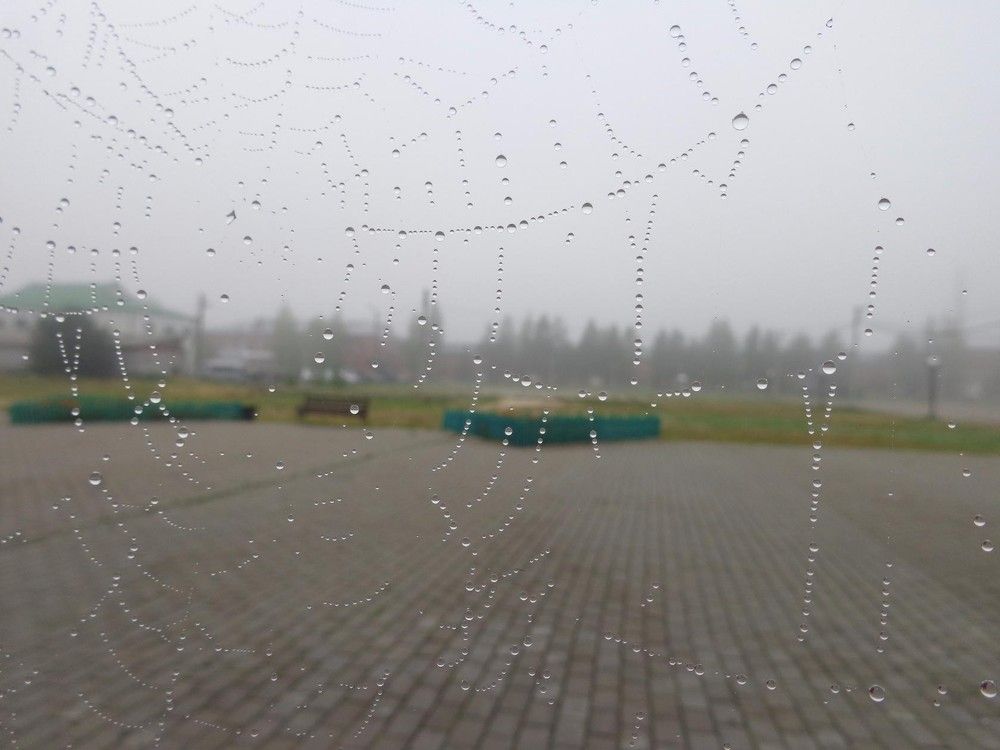 душа плачет