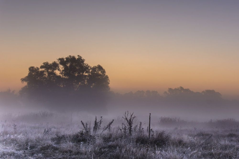 Первые заморозки.