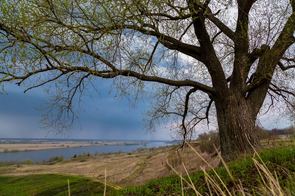 Пробуждение