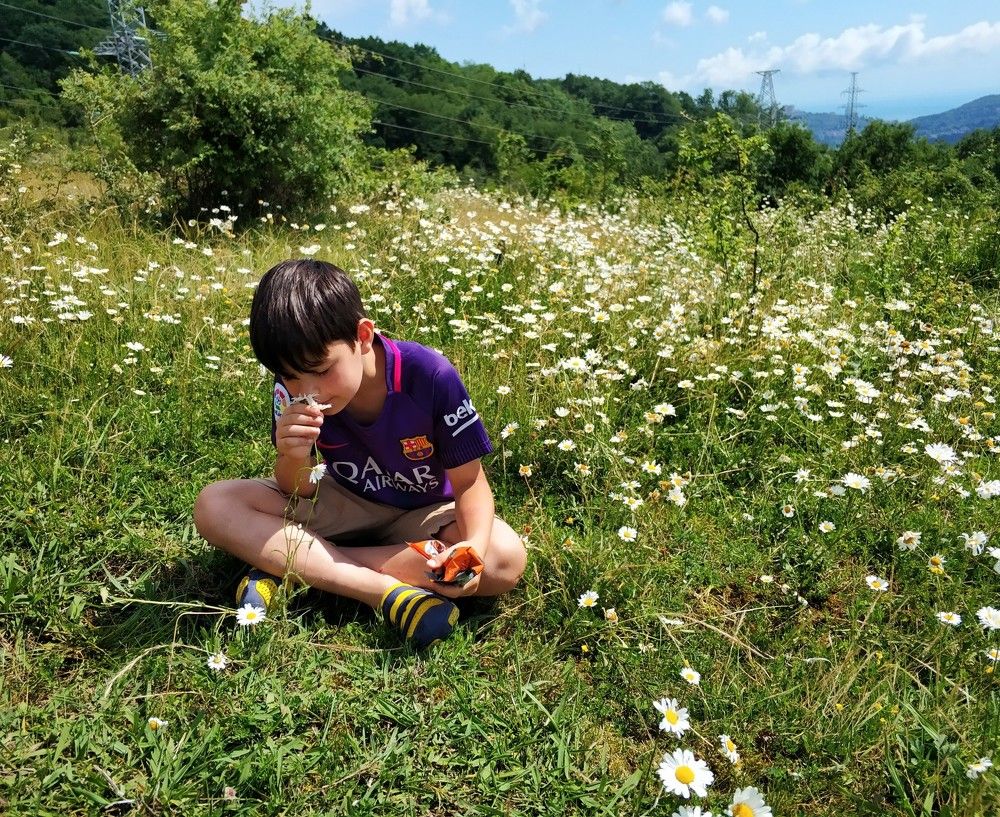 отдых на природе