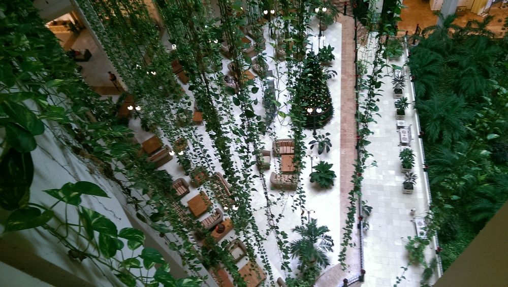 Отель. Джунгли.