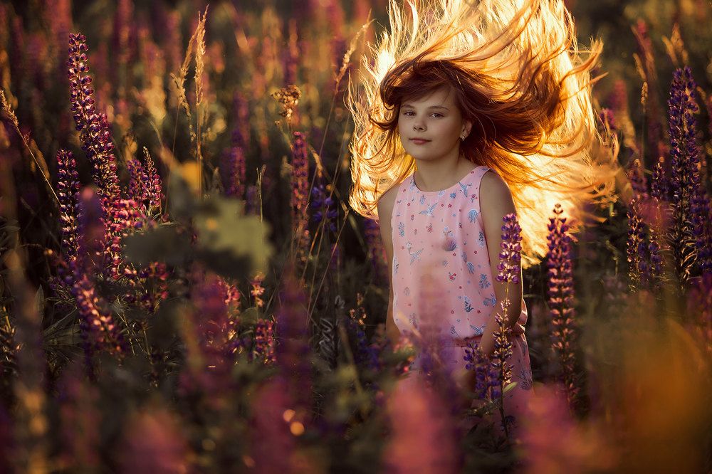 Солнечный одуван