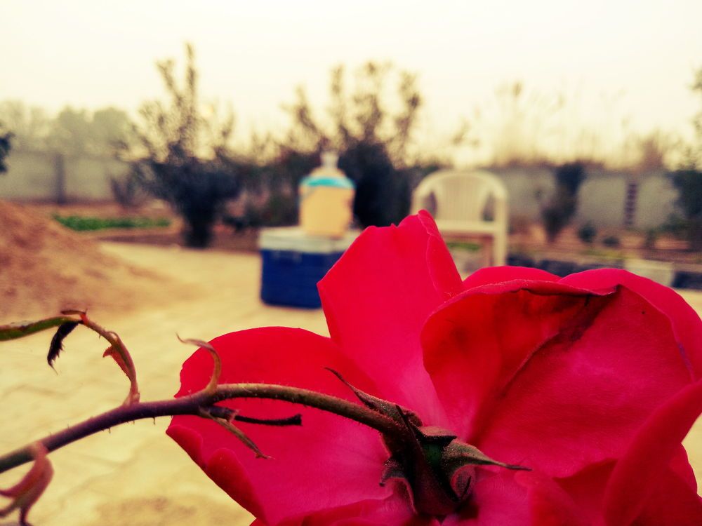 Nature ♥