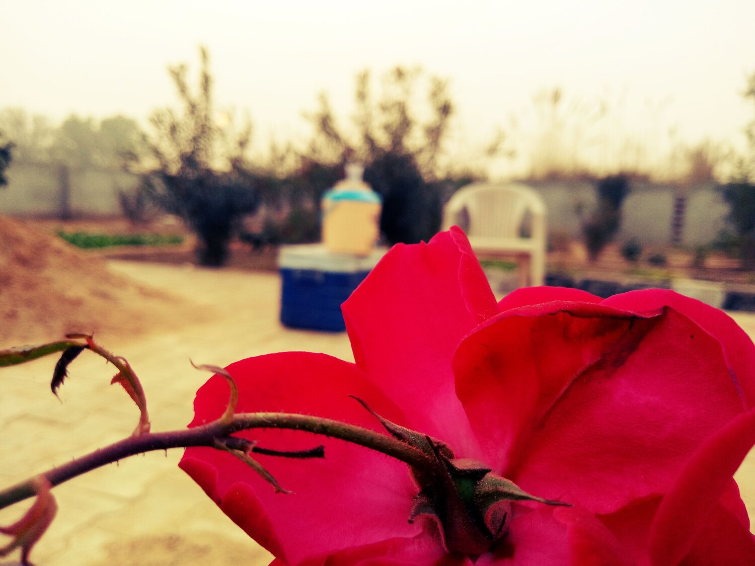 Nature ♥